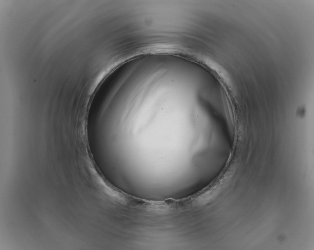 X0000090871473200708171615