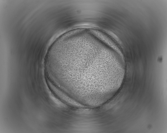 X0000090871474200708171615