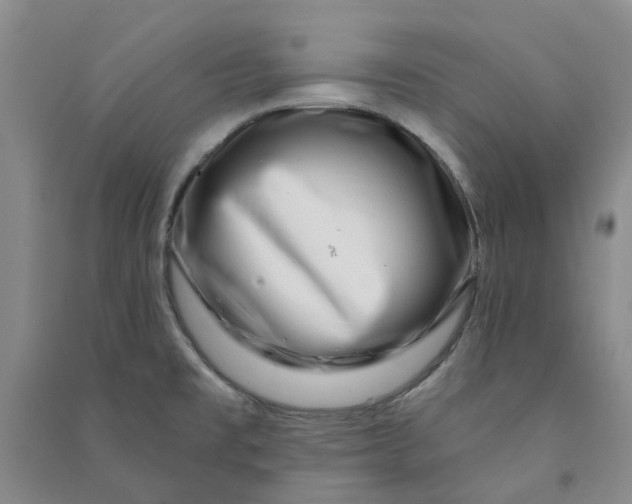 X0000090871477200708171615