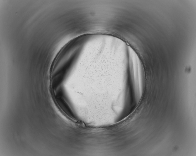 X0000090871479200708171615