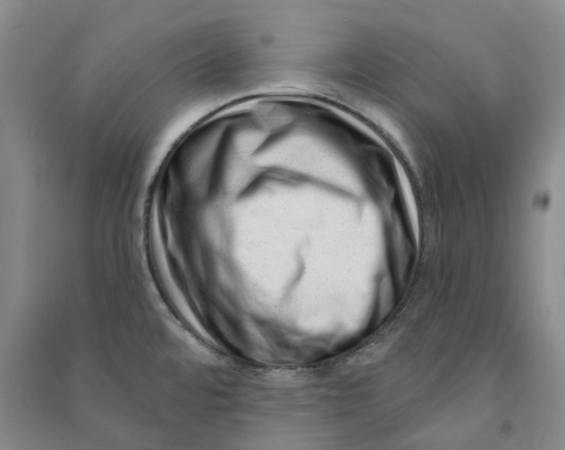 X0000090871480200708171615