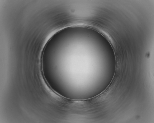 X0000090871483200708171615