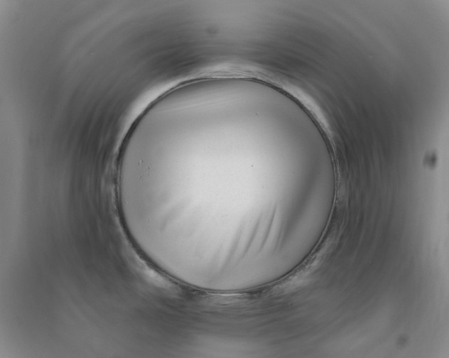 X0000090871486200708171615