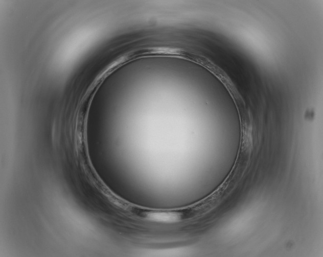 X0000090871487200708171615