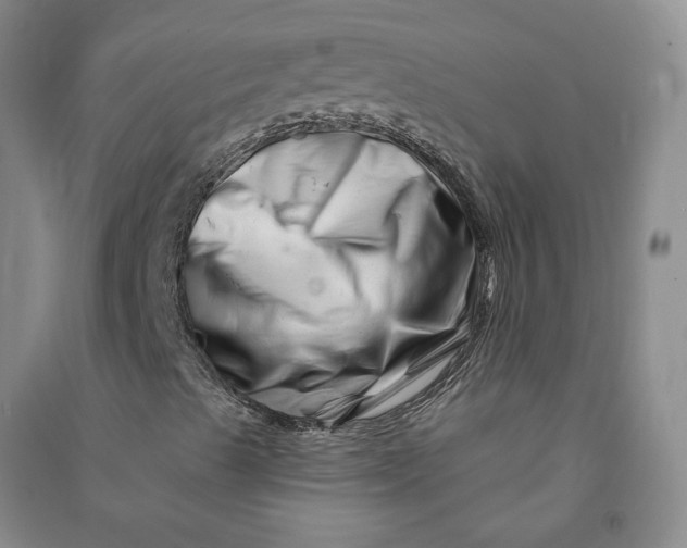 X0000090871489200708171615