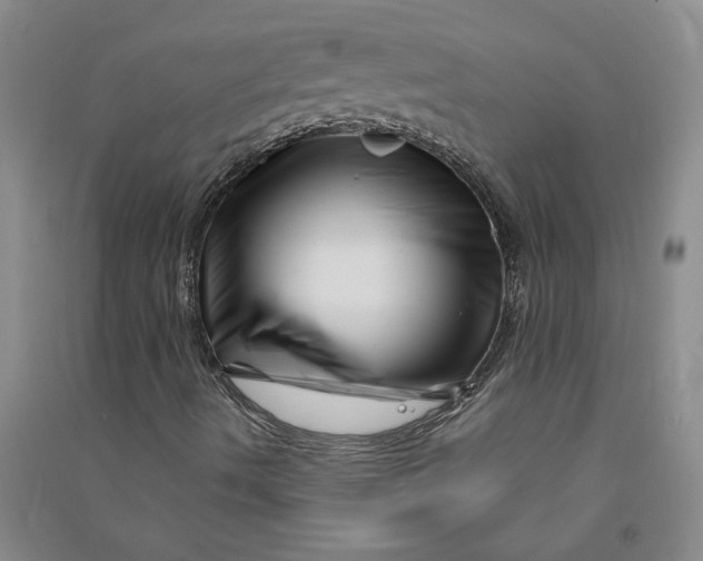 X0000090871490200708171615