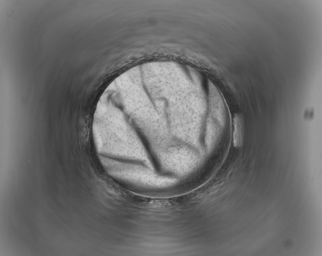 X0000090871491200708171615