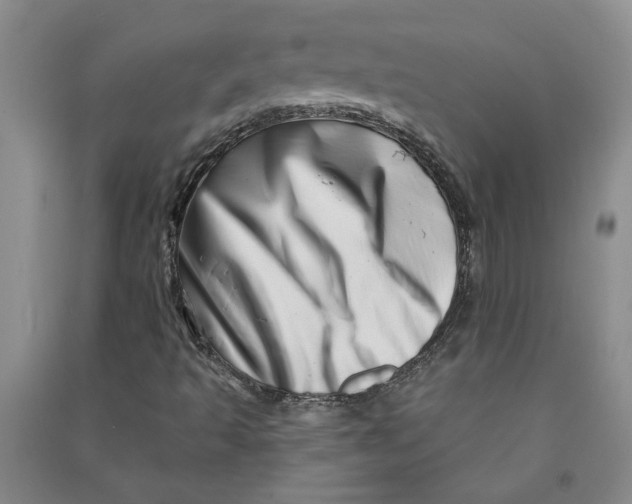 X0000090871493200708171615