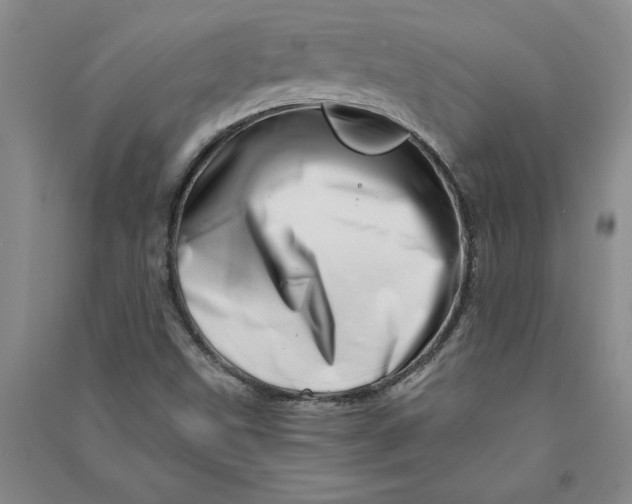 X0000090871499200708171615