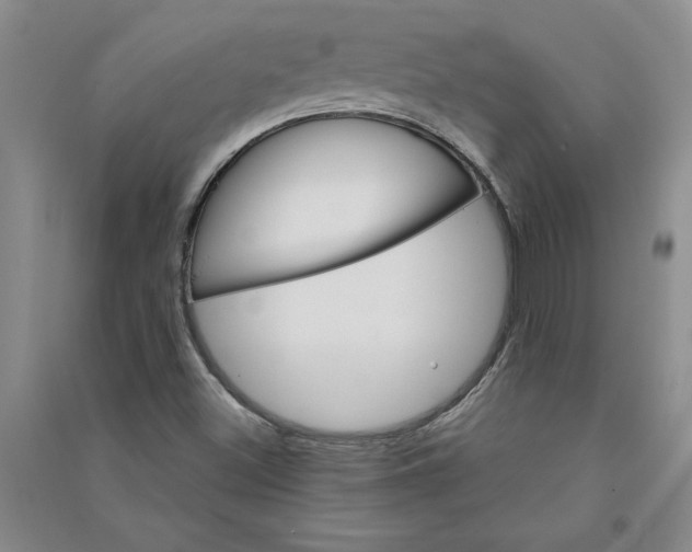 X0000090871500200708171615