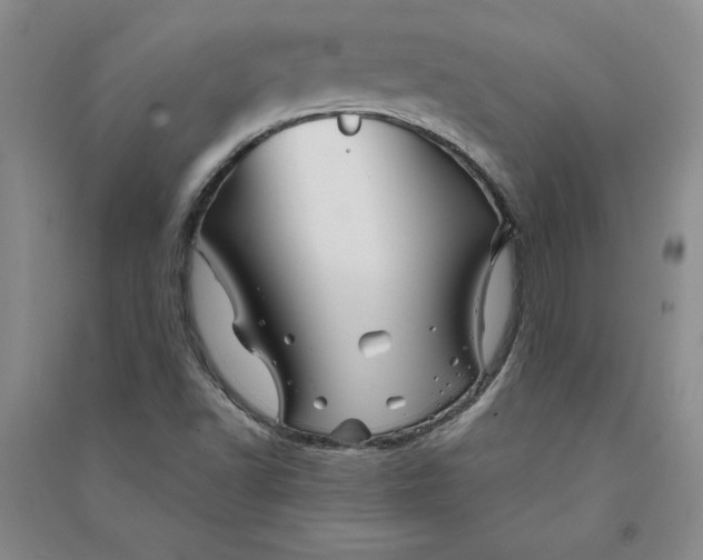 X0000090871502200708171615