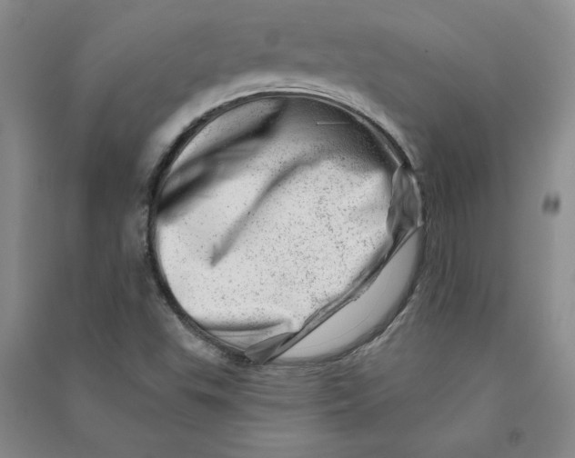 X0000090871503200708171615