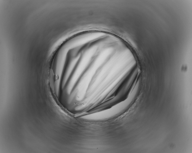 X0000090871504200708171615