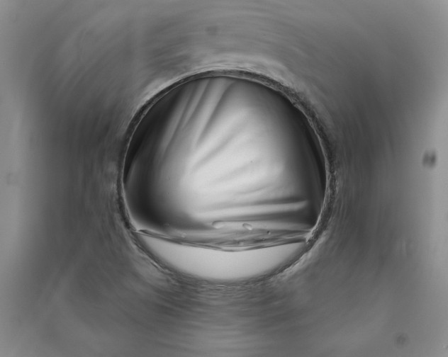 X0000090871505200708171615