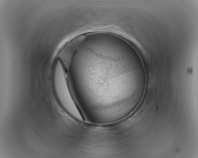 X0000090871506200708171615