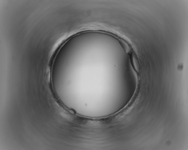 X0000090871509200708171615