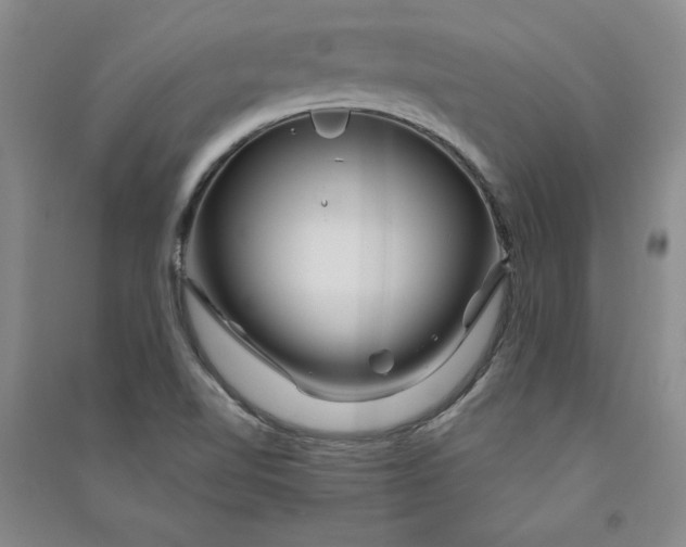 X0000090871510200708171615