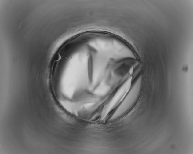 X0000090871511200708171615