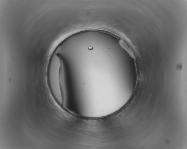 X0000090871512200708171615