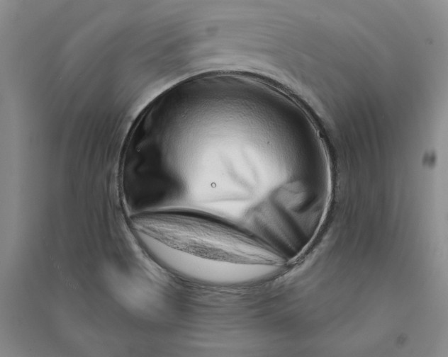 X0000090871513200708171615