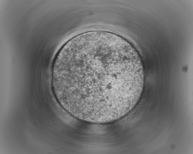 X0000090871514200708171615