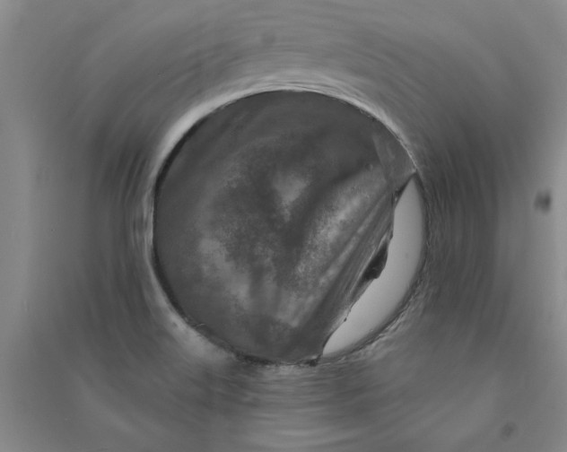 X0000090871515200708171615