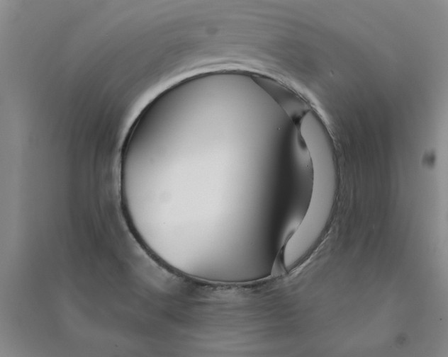 X0000090871516200708171615