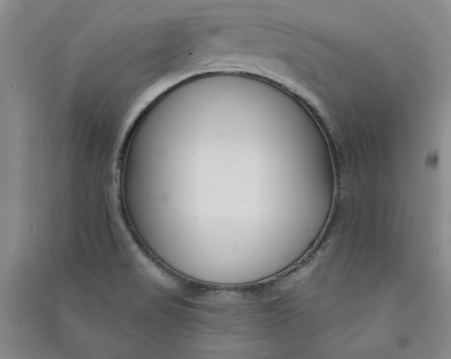 X0000090871517200708171615