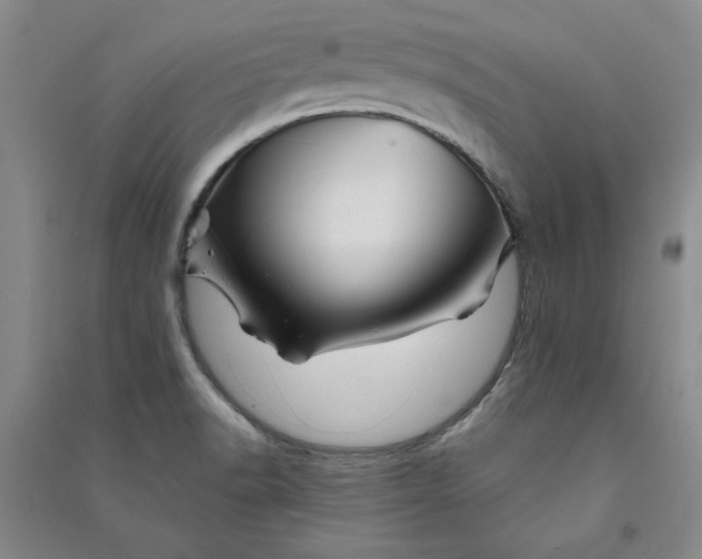 X0000090871518200708171615