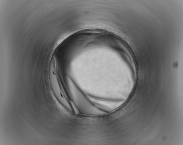 X0000090871521200708171615