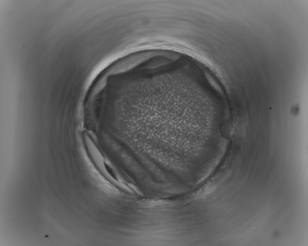 X0000090871522200708171615