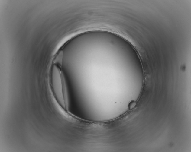 X0000090871523200708171615