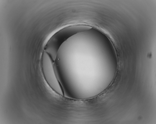 X0000090871524200708171615