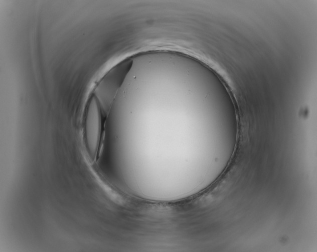 X0000090871525200708171615