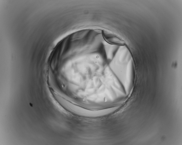 X0000090871526200708171615