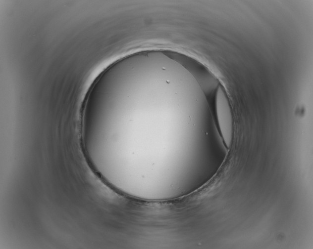 X0000090871527200708171615