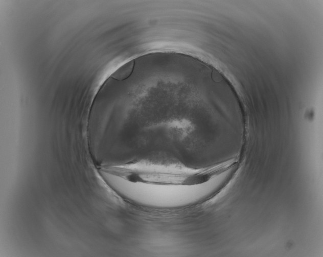 X0000090871529200708171615