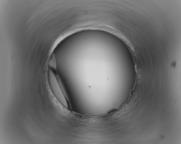 X0000090871530200708171615