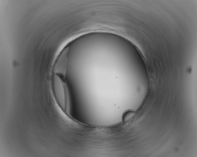 X0000090871531200708171615