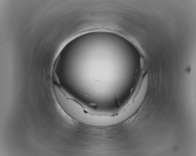 X0000090871532200708171615