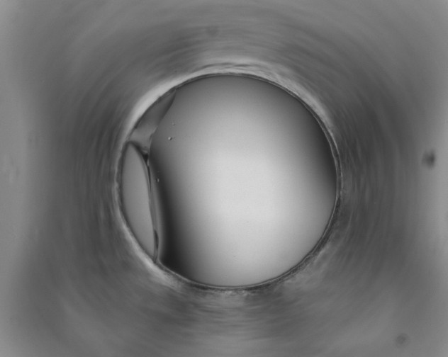 X0000090871533200708171615