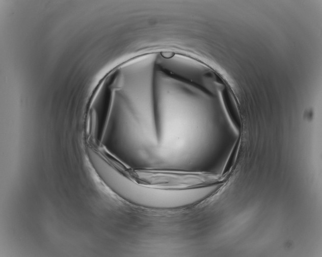 X0000090871534200708171615