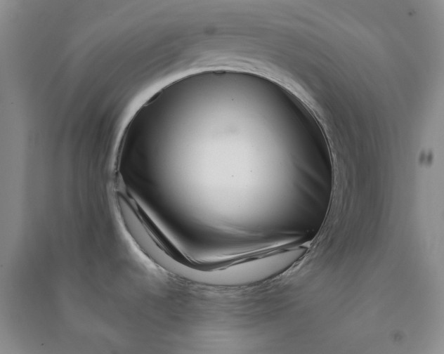 X0000090871536200708171615