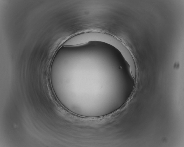 X0000090870001200708241929