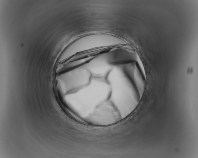 X0000090870002200708241929