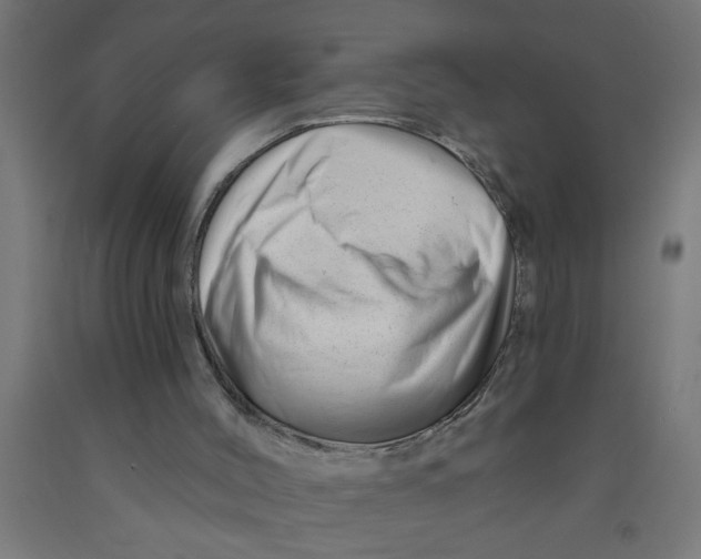 X0000090870004200708241929