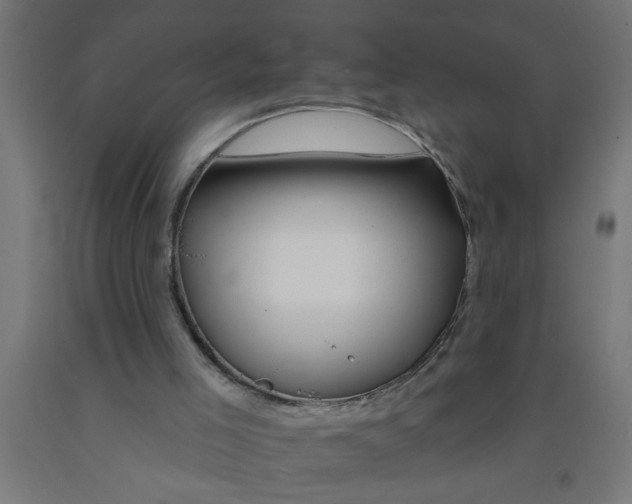 X0000090870005200708241929