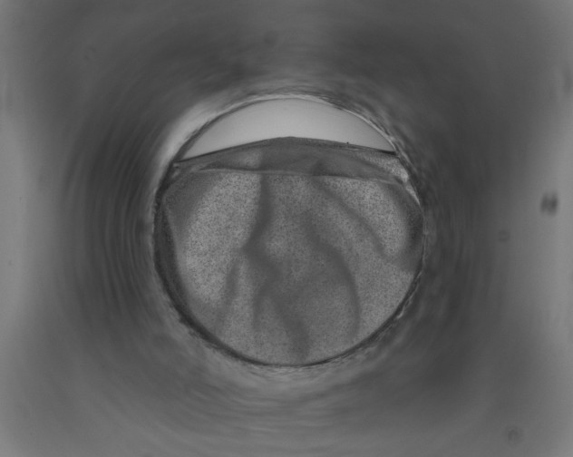 X0000090870006200708241929
