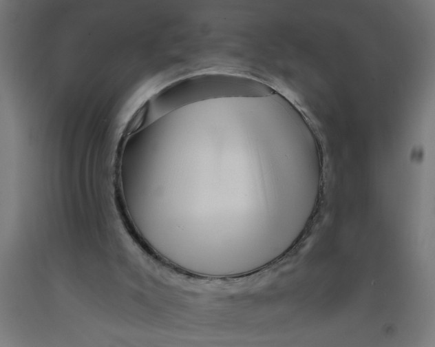 X0000090870007200708241929