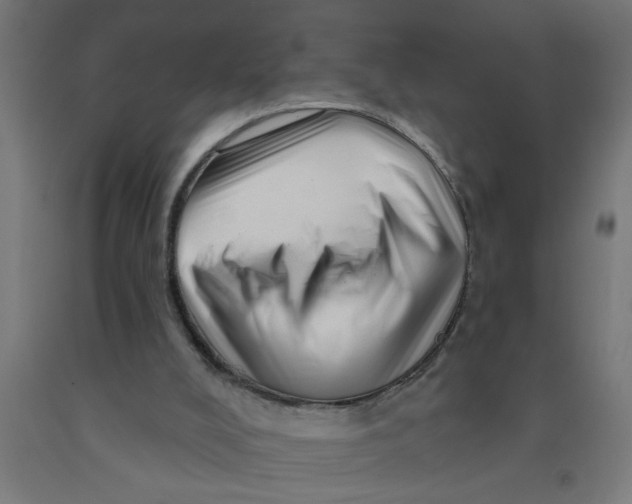 X0000090870008200708241929
